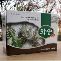 엄마애손 와송즙 생와송 햇와송 진액 60파우치x2박스 와송차 액기스 원액 농축액 무첨가물 국내산 김천 명품 토종 바위솔 기와솔 건강즙 주스 신비의약초 나이아신 단백질 베타카로틴 비타민A 비타민B군 비타민C 비타민E 아연 엽산 철분 칼륨 칼슘 부모님 어버이날 명절 선물, 2박스, 60포