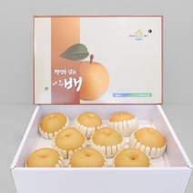 23년 수확 나주배 특품 5kg (5-7과), 1박스