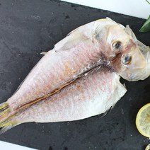 [친환경팔도] 제주 강문철님의 옥돔(특대)2kg 5∼7마리, 단일속성