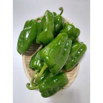 단단한 청피망 500g, 1kg, 1개
