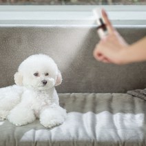 강아지보습제 강아지미스트 강아지보습미스트 강아지털엉킴미스트, 아웃도어 노벅