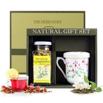 더허브스토리 A-1 허브차 필터 티머그컵 선물 세트, 1세트, 단품