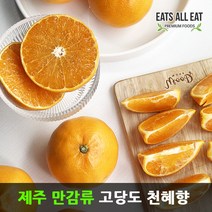 이츠올릿 제주도 고당도 감귤 천혜향 3kg 제주 하우스 귤 택배 선물 세트, 한라봉＋선물가방_2kg(중대_5-10과)