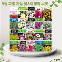 솔림텃밭몰 9월 파종 가능 꽃 야생화 씨앗 모음, 43. 옥잠화 20립