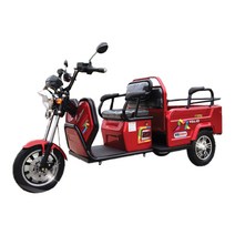이지모터스 친환경 전기 자동차 EG-200