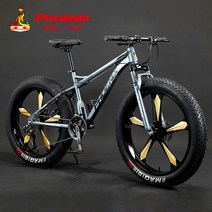 MTB 산악자전거 광폭타이어 여성용 오프로드 고성능 학생용 팻바이크 성인용, 27단, 26인치, 그레이 토트 스노우 5도휠