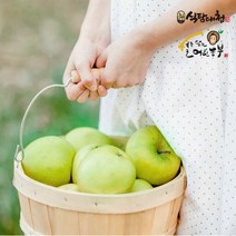 경북 썸머킹 여름 풋 청사과 9kg (35과내) 대과, 없음