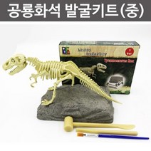 공룡화석 발굴키트(중)-JTS, 티라노사우루스