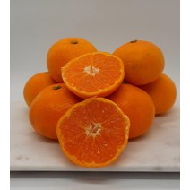 제주 노지 감귤 5kg, 푸리바당 제주 노지 감귤 5kg, 5000g
