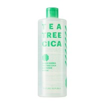 네이처리퍼블릭 그린더마 티트리 시카 빅토너, 500ml, 1개