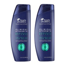 헤드앤숄더 클리니컬 스트렝스 비듬 가려움 완화 샴푸 400ml (그린) 1+1 2개세트