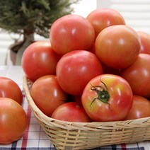소담촌 찰 토마토 10kg, 10kg(3번) 중, 1개