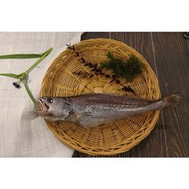 부산 반건조 생선 자연산 참민어 제수용 참민어탕 참민어구이, 대 (40cm 내외 / 420~450g)