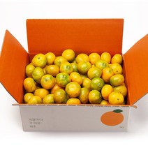 깨비농원 노지 감귤, 1box, 4.5kg(2S-M)