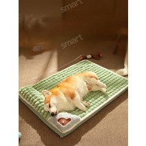 큰개집 야외개집 애견하우스 대형개집 강아지펜스 대형견집 견사 야외강야지집, 특대3XL-60캐티, 웜세트]두툼한슬리핑패드핑크+따뜻한담요
