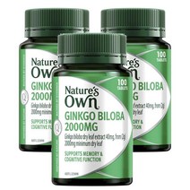 네이쳐스온 호주 Natures Own Ginkgo Bilob 징코빌로바 2000mg 100정, 3팩