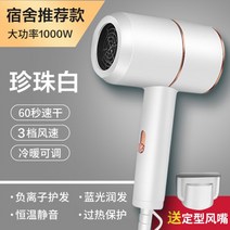 숙소용 타입학생 800w 이하 머리를 휴대용드라이기, T09-가정용 진주색 60초속 건조 3막기