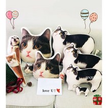반려동물 쿠션제작 맞춤 주문제작 강아지 고양이 3D입체 쿠션, 헤드 모델