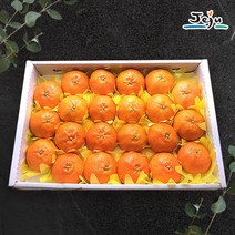 (롯데백화점)(올찬) 레드향 선물세트(대/중) 5kg(23-30과) / 제주직송