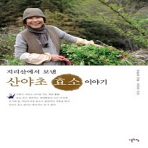 [개똥이네][중고-상] 지리산에서 보낸 산야초 효소 이야기