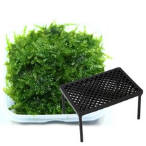 [바보사랑] 무결점 미니삼각 모스+플라스틱 테이블 1개 세트