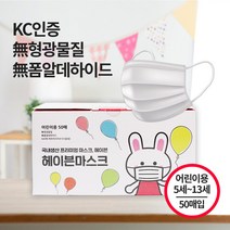 국산 어린이 덴탈 마스크 50매 KC인증 초등학생 아동용 소형 헤이븐마스크, 헤이븐 화이트(성인용 대형) 50매, 1개, 50개입