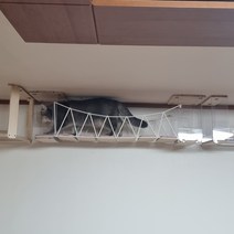 고양이 캣워커 맑은 하늘 구름다리 2단, 파스텔 그레이
