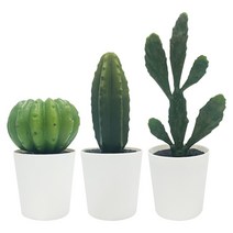 이케아 페이카 6cm 선인장 미니 조화 인조식물 인테리어 장식 소품, 1개