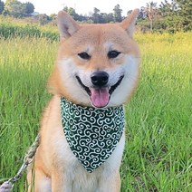 강아지턱받이 시바견스카프 넥케이프 중형견 대형견케이프 목도리 삼각스카프, 그린