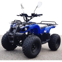 전동ATV 친환경오토바이(제로 1000) 농업용속도3단계, 파랑, 1000W 전기ATV