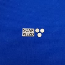 압전소자초음파 압전 세라믹 디스크 100.50mmPZT4 피에조 PZT스탈 센서 요소 청소 송신기 칩, 없음