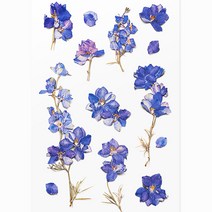 압화스티커 다꾸 폰꾸 스티커 락스퍼 꽃스티커 압화책갈피