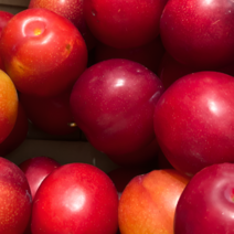 [고당도선별] 고당도 자두 대석자두 추희자두 후무사자두 왕자두, 5kg (특), 1개