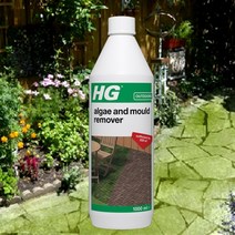 Algae and mould remover 이끼제거제 1L 타일 건물벽돌 정원바닥타일 곰팡이제거, 1개, 1000ml
