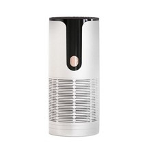 공기청정기 가정용 업소YOUPIN Negative Ion Air Purifier for Home Ozone Generator Odor Remover Cleaner, 03 U-13-WHITE