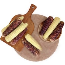 [자미담] 2022년 담양가사문학 햇 찰옥수수(백찰/흑찰) 5개, 흑찰 5개