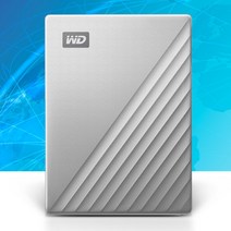 WD 4테라 실버 외장하드 usb3.2 파우치 4tb, 단일제품