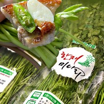 [무농약] 청도 한재 미나리 GAP인증 봄미나리 산지직송, 청도 한재 미나리 3kg