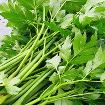 친환경 무농약 유기농 신선초 1kg 2kg, 유기농 신선초 1kg (즙용)