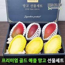 이츠올릿 프리미엄 태국 골드 애플 망고 선물세트 무지개, 골드망고 2kg 내외(4-8)