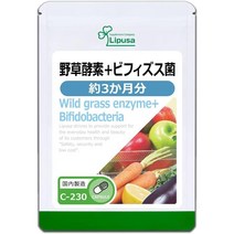 Japan 직구 리푸사 Wild 식물 발효 엑기스 Grass Enzyme + Bifidobacteria 230cap 1pack, 수량, 상세참조