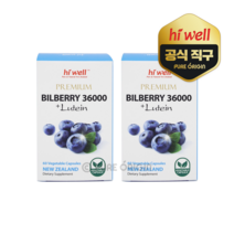 하이웰 빌베리 36000mg 루테인12mg 60캡슐 제아잔틴 안토시아닌 영양제, 60정, 2개