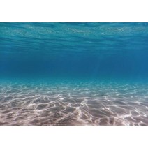 어항꾸미기 백스크린 수족관 탱크 장식품 여름 수영장에 배경 바다 아래 사진 배경 사진 인어 파티 생일 포토존 배너, 실크와포이-300x230cm, 1-하늘색