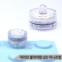브랜드없음 마리모 블럭어항 LED 미니조명 3종 DIY 소형 전구, 블루조명