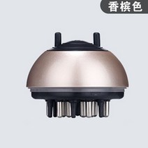 LED두피 두피기계 두피기기 두피관리기 탈모홈케어 탈모기계 탈모두피마사지 두피LED 두피레이저 두피케어 두피관리기기, 샴페인 컬러