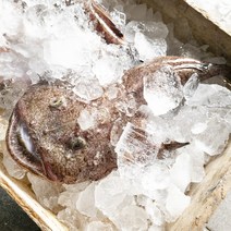 통영 손질 토막 아귀 1kg (급냉) 구매시 찜소스 증정, 손질아귀(생물)1kg+찜소스증정, 1개
