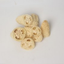 천연 농가 사과 감치다 설거지 수과회 수세미외 속 노 2425128913, 조심히구매해주세요 부스지다 찌꺼기 꽃