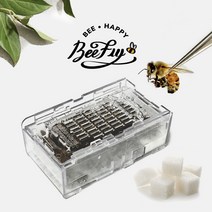 비플라이 건강한 꿀벌 벌침 벌침벌 봉침 봉침벌 벌침용 벌+먹이 서비스, 150~180마리