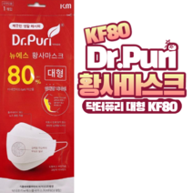 닥터퓨리 황사마스크 KF80 대형 (80대형), 1장