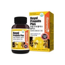 뉴질랜드 프로폴리스 제리 프로포리스 1000mg 90캡슐 3개월분 - 추천, 뉴질랜드 로얄 프로폴리스 로얄제리 프로포리스 1000m